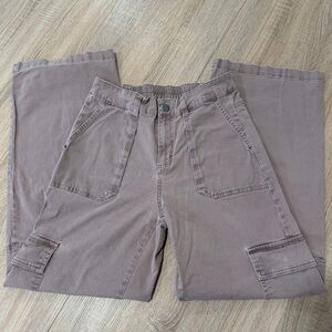 wild fable Dusty Mauve Cargo Pants